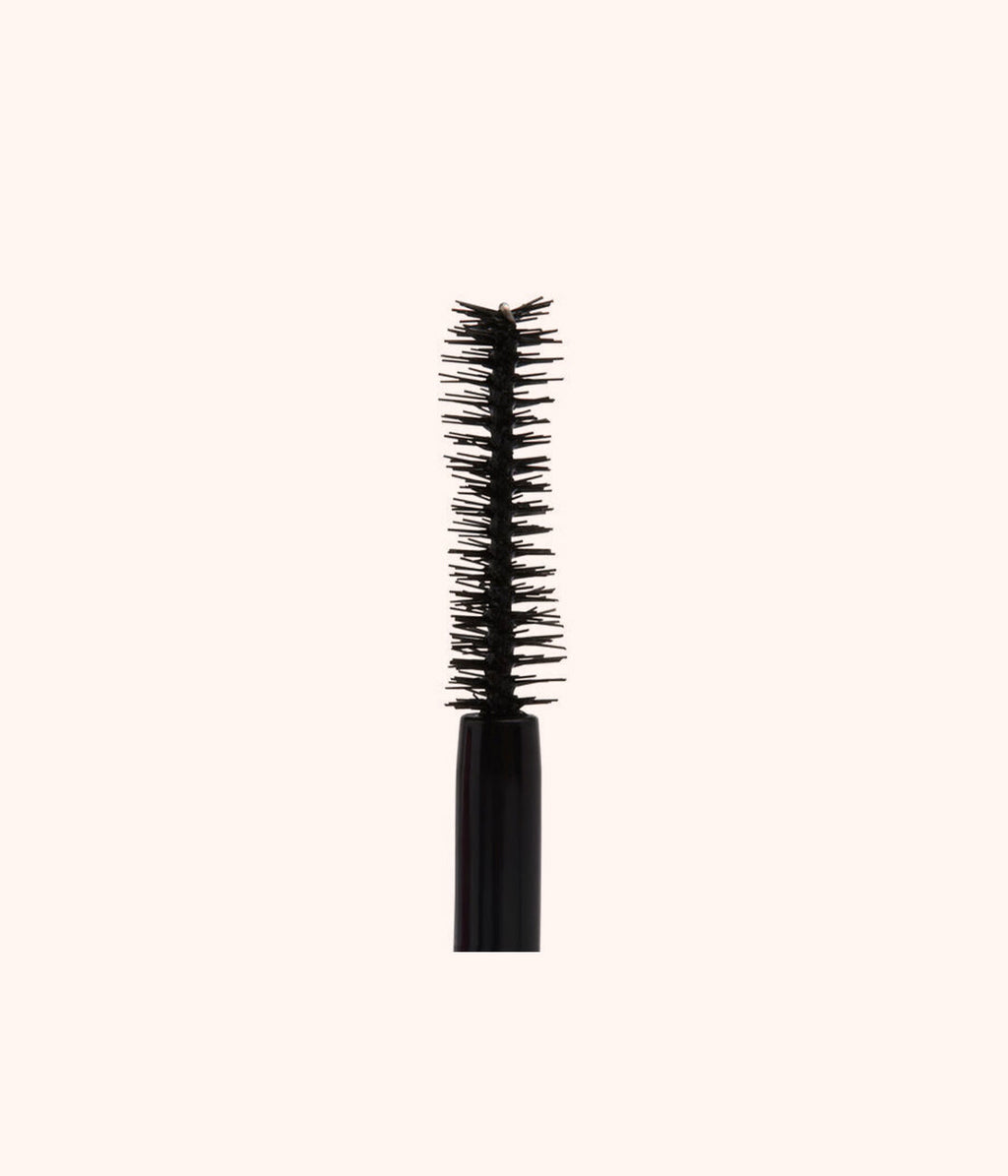 Big lash volume mascara